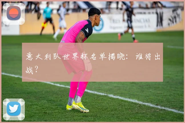意大利队世界杯名单揭晓:谁将出战?